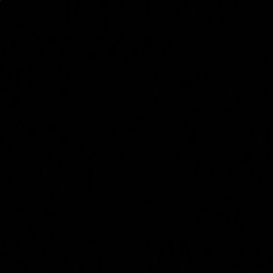 Meet your Posher, Carlos